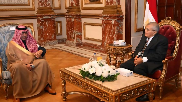  المستشار عصام فريد