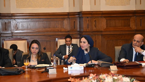  النائبة شيرين صبري