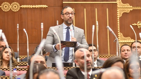 النائب أحمد الحمامصي