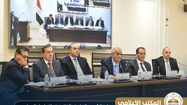 المستشار محمود فوزي