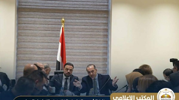  المستشار محمود فوزي