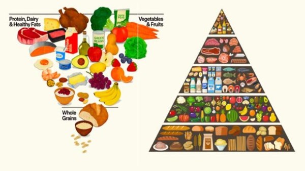 الهرم الغذائي الجديد