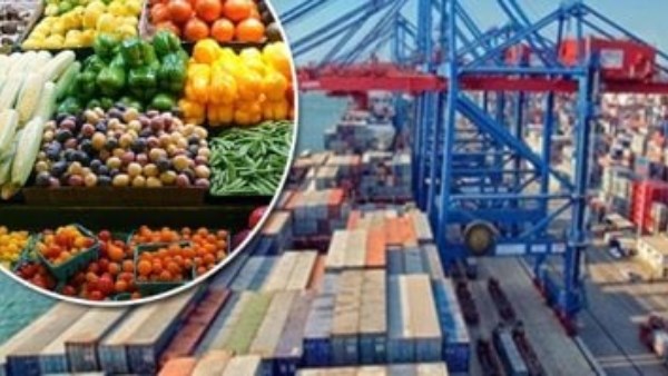 الصادرات الزراعية المصرية