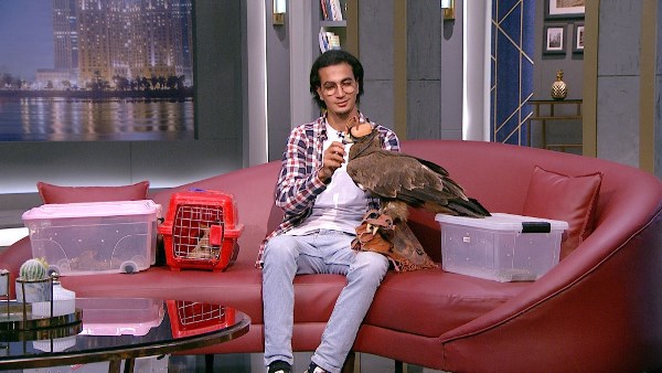 عمرو الليثي