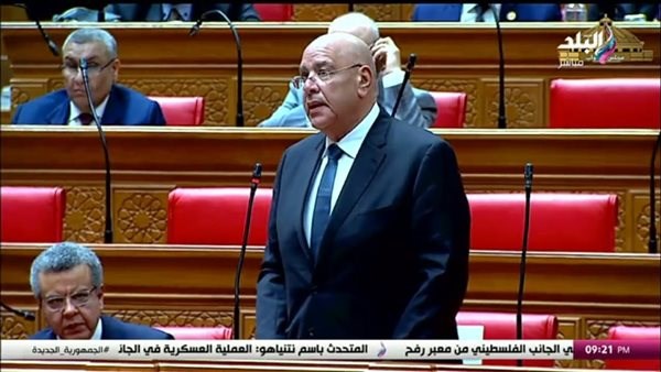  المستشار هشام بدوي