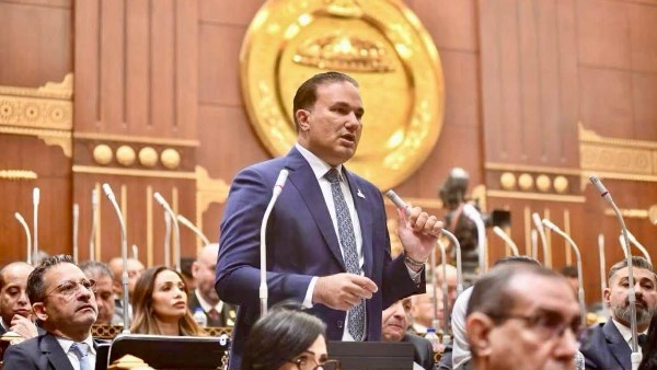 تامر عبد الحميد