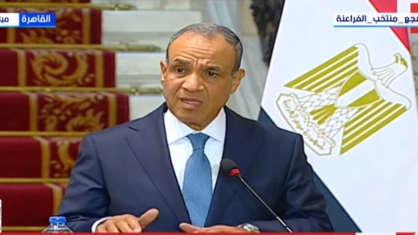 وزير الخارجية بدر عبد العاطي