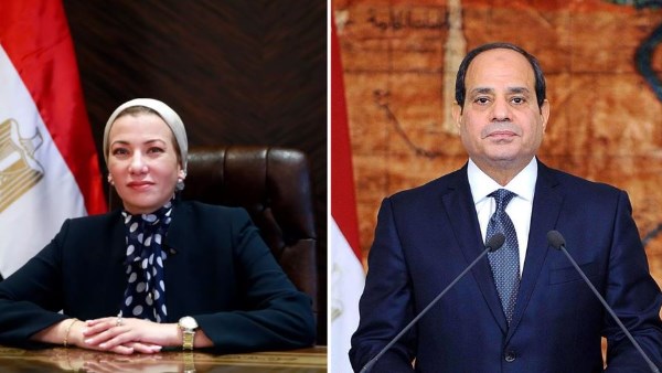 الرئيس السيسي وياسمين فؤاد