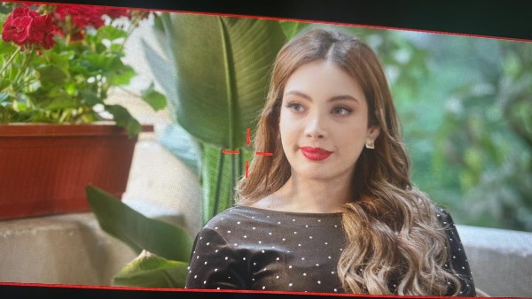 شيري عبد الحميد 