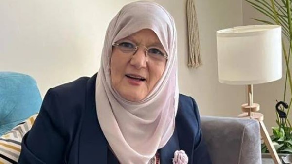 شمس البارودي 