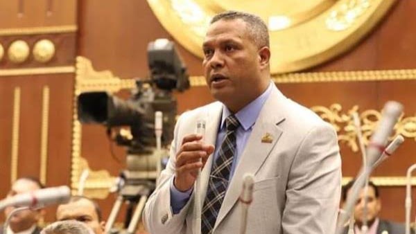 د النائب محمد حمزة ، عضو مجلس الشيوخ