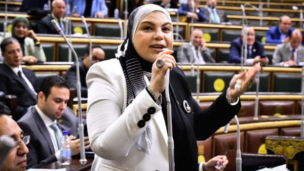  النائبة شيرين طايل عن حزب الوفد 
