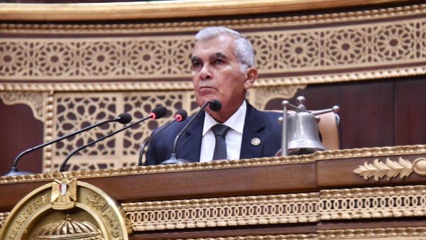 المستشار عصام فريد، رئيس مجلس الشيوخ