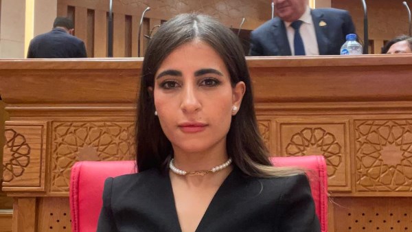 إيلاريا سمير حارص، عضو مجلس النواب 