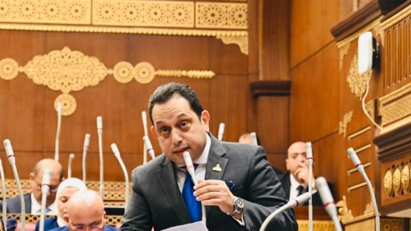 محمد الجندي، عضو مجلس الشيوخ 