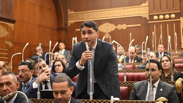 محمد مظلوم، عضو مجلس الشيوخ 