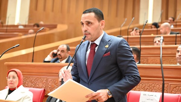 إسلام التلوانى، عضو مجلس النواب 