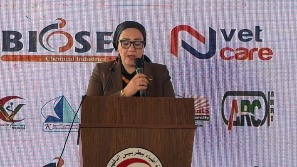 داليا الأتربي، عضو مجلس الشيوخ 