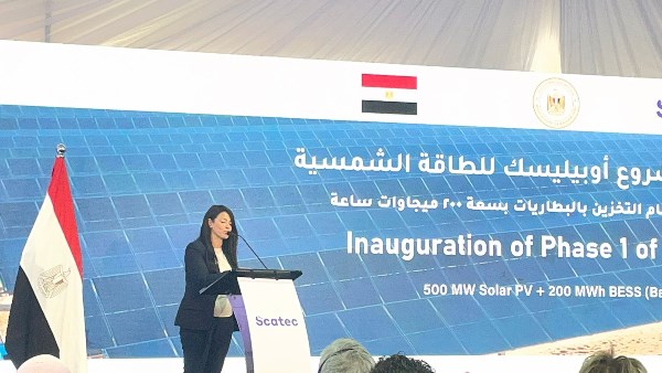 الدكتورة رانيا المشاط