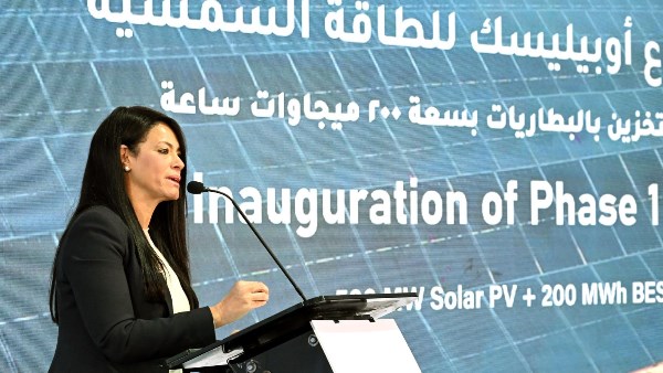 الدكتورة رانيا المشاط