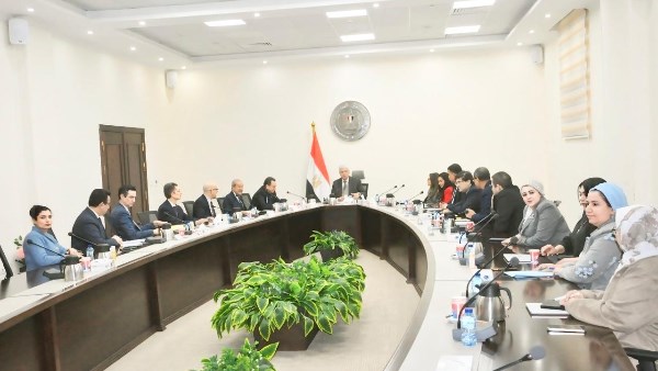 التعليم العالي 