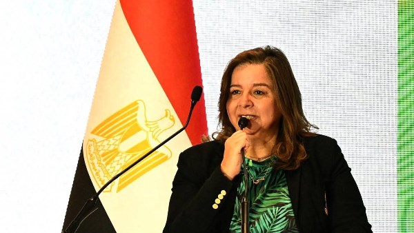 مي عبد الحميد 