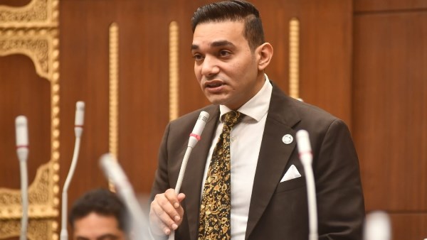 النائب نشأت 