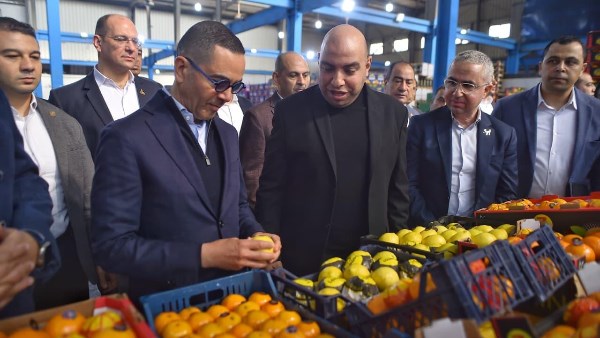 وزير الاستثمار 