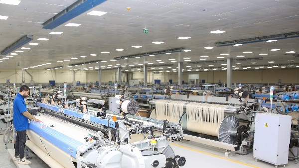 مصانع غزل المحلة 