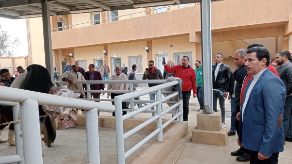 باستثمارات أكثر من 75 مليون جنيه.. محافظ المنوفية يتابع آليات التشغيل التجريبي لمجازر 3 مراكز|صور باستثمارات أكثر من 75 مليون جنيه.. محافظ المنوفية يتابع آليات التشغيل التجريبي لمجازر 3 مراكز|صور