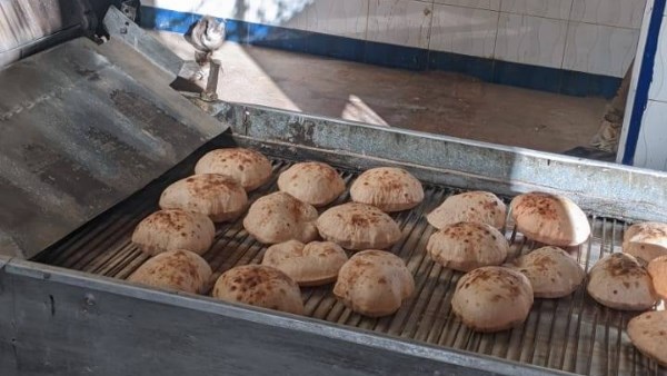 حملات مكثفة في المنوفية 