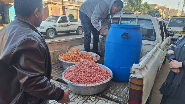 ضبط ربع طن لحوم مفرومة ودواجن محقونة بالمياه في المنوفية.. صور