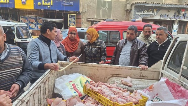 المنوفية .. ضبط 120 كيلو دجاج غير صالح للاستهلاك الآدمي ببركة السبع المنوفية .. ضبط 120 كيلو دجاج غير صالح للاستهلاك الآدمي ببركة السبع