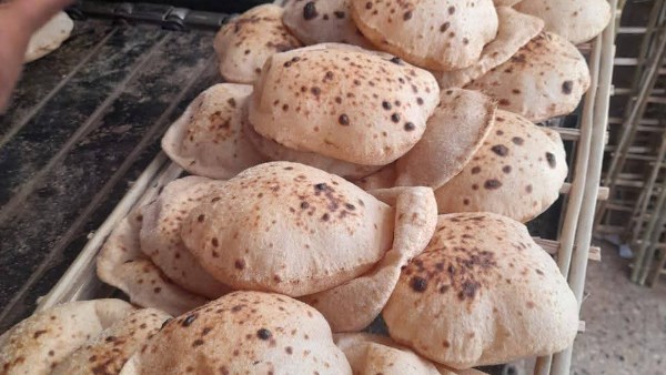 حملات تموينية متنوعة 