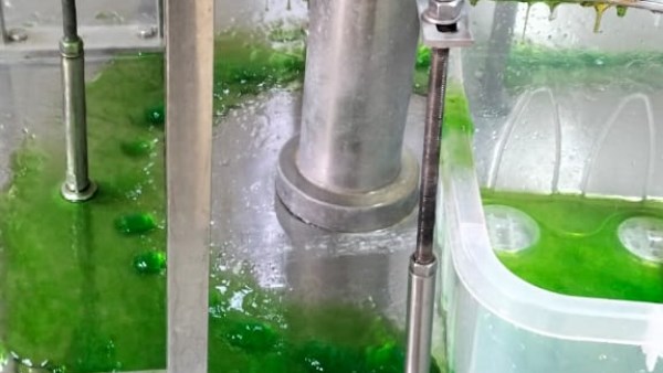 ضبط مصنع لتعبئة مواد غذائية مخالف لاستخدام بدائل سكر غير مطابقة وطرح منتجات بدون بيانات بمنفلوط