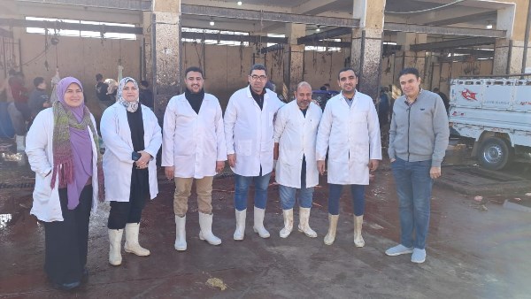 جانب من حملات الطب البيطري في سوهاج