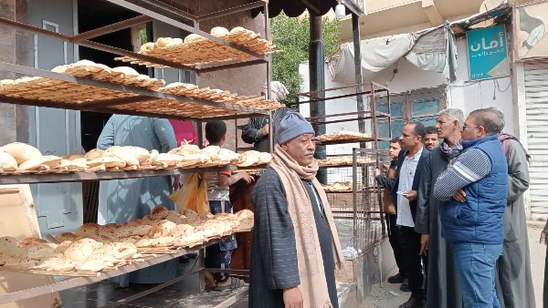 حملات تموينية بقنا