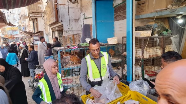 حملات يشوارع مدينة قنا 