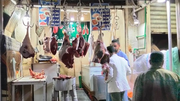 جهود بيطرية بأسوان