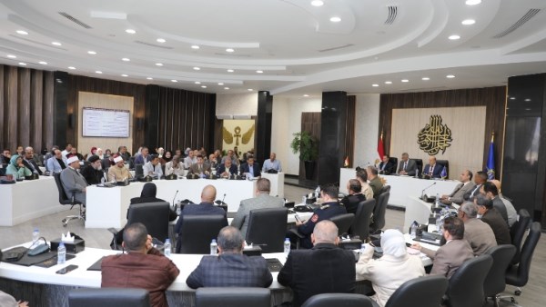 محافظ أسوان