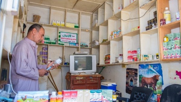 جهود الاورمان