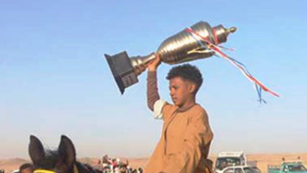 مرماح الخيول