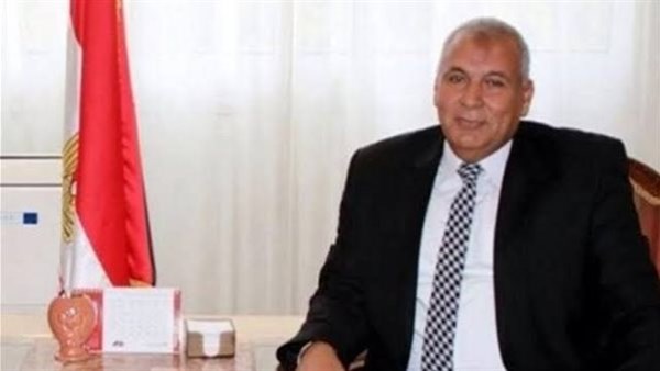 محافظ الوادي الجديد 