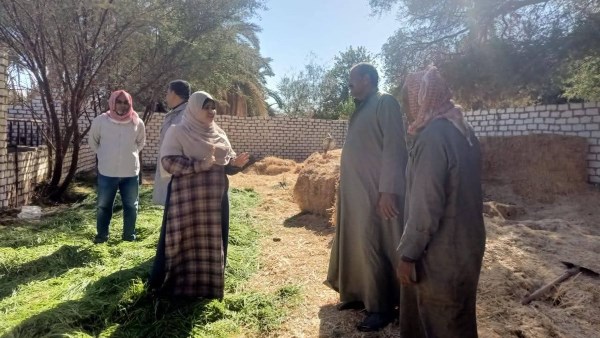 قافلة بيطرية 