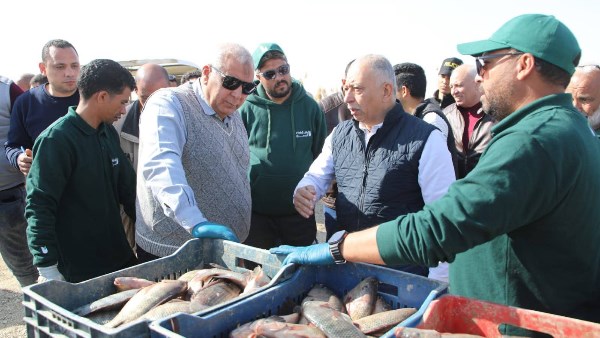 جانب من الحدث