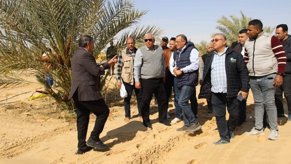 جانب من الحدث