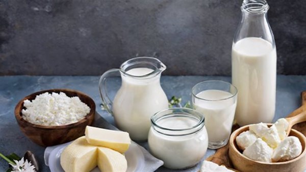 منتجات الألبان ارشيفيه 