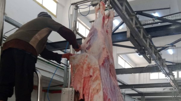 جانب من الحدث