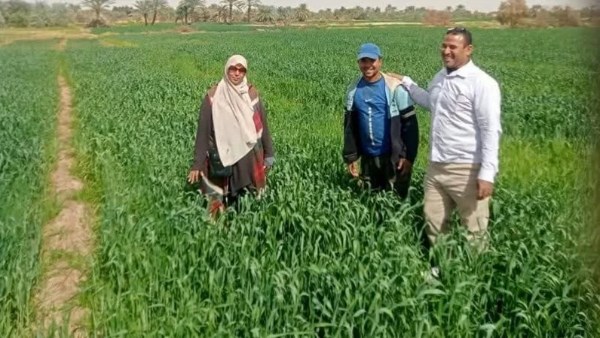 جانب من الحدث