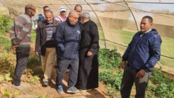 جانب من الحدث